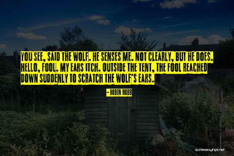 Scratch You Quotes By Robin Hobb Scratch You Quotes By Robin Hobb