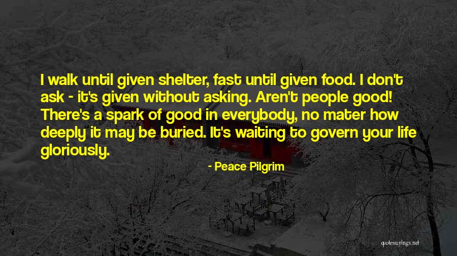 Scratch Your Travels Quotes By Peace Pilgrim Scratch Your Travels Quotes By Peace Pilgrim