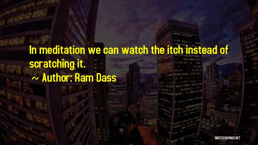 Scratching An Itch Quotes By Ram Dass