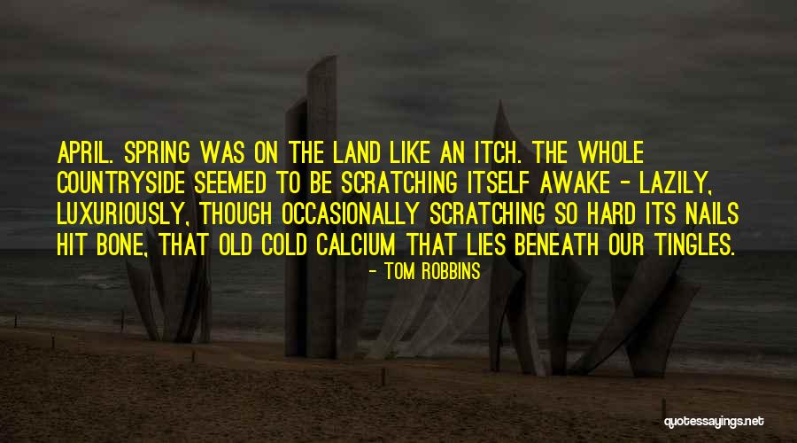 Scratching An Itch Quotes By Tom Robbins