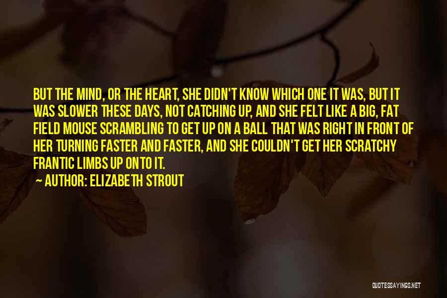 Scratchy Quotes By Elizabeth Strout