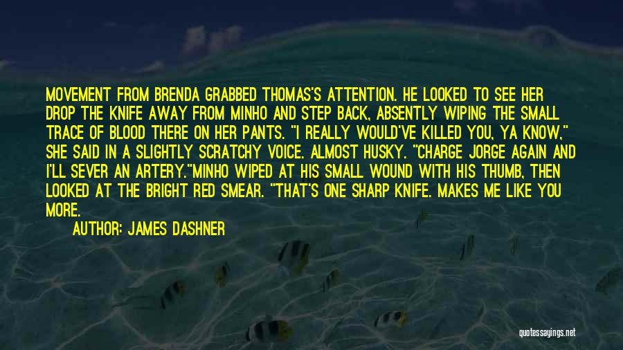 Scratchy Quotes By James Dashner