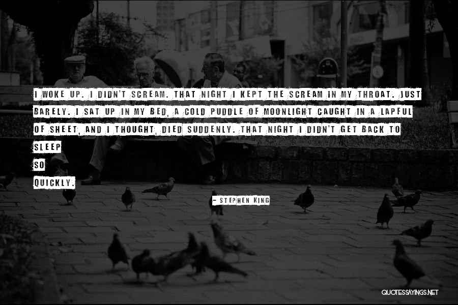 Scream All Night Quotes By Stephen King Scream All Night Quotes By Stephen King