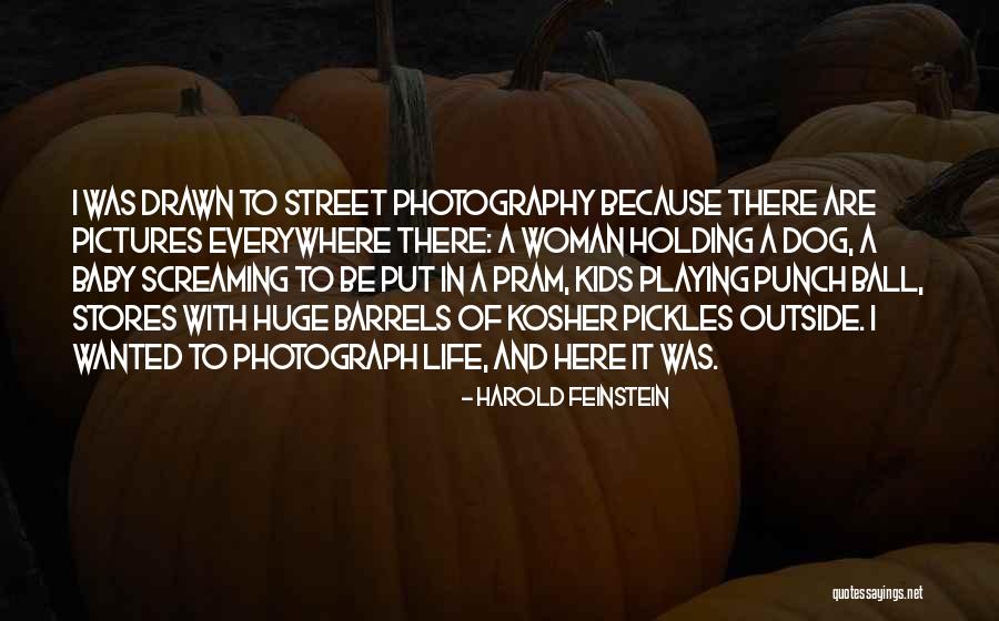 Screaming In Life Quotes By Harold Feinstein Screaming In Life Quotes By Harold Feinstein