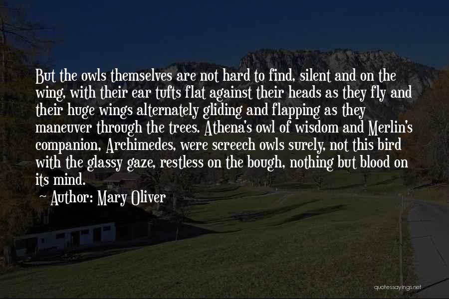 Screech Owls Quotes By Mary Oliver