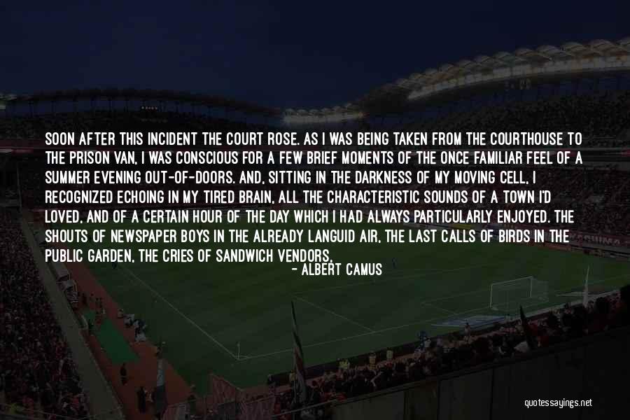 Screech Quotes By Albert Camus Screech Quotes By Albert Camus