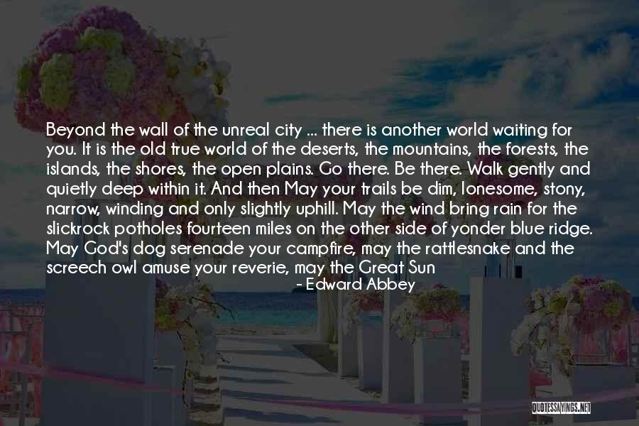 Screech Quotes By Edward Abbey Screech Quotes By Edward Abbey