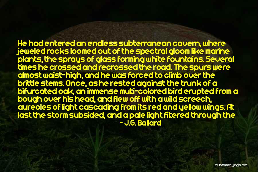 Screech Quotes By J.G. Ballard Screech Quotes By J.G. Ballard