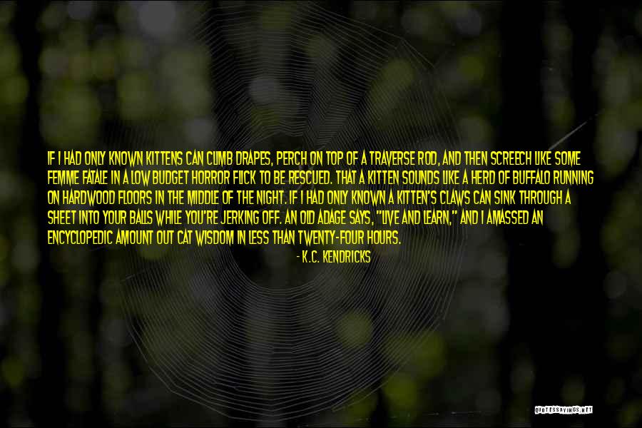 Screech Quotes By K.C. Kendricks Screech Quotes By K.C. Kendricks