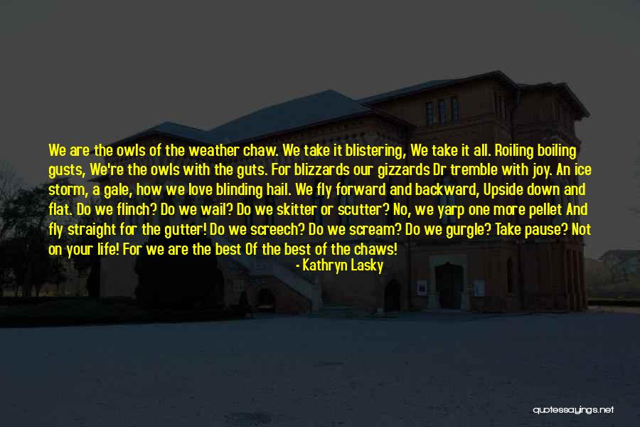 Screech Quotes By Kathryn Lasky Screech Quotes By Kathryn Lasky
