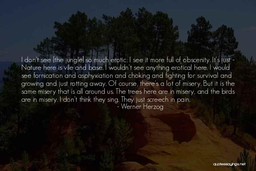 Screech Quotes By Werner Herzog Screech Quotes By Werner Herzog