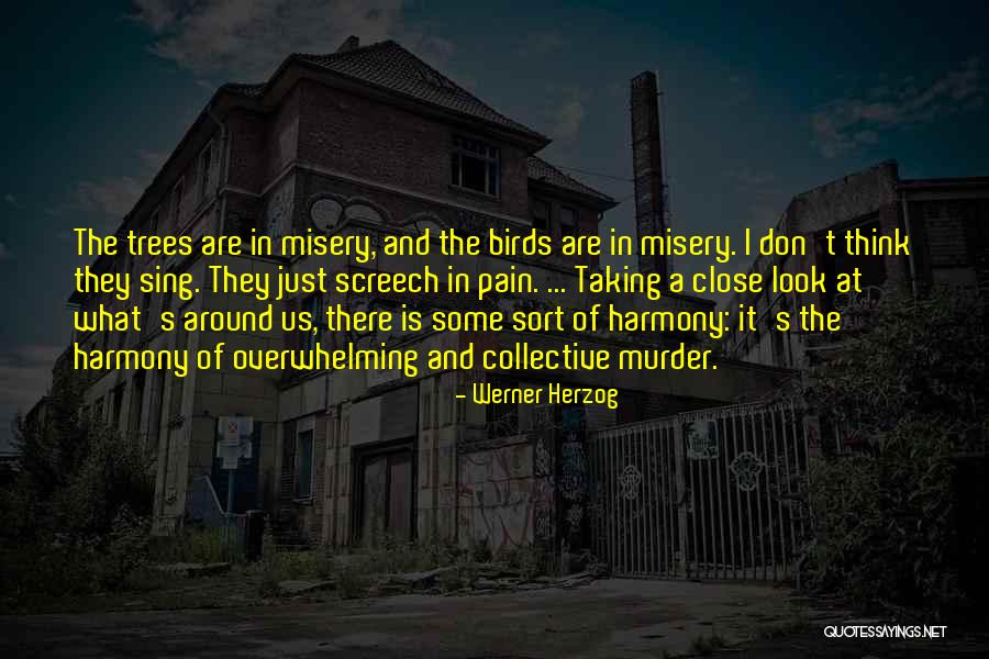 Screech Quotes By Werner Herzog Screech Quotes By Werner Herzog