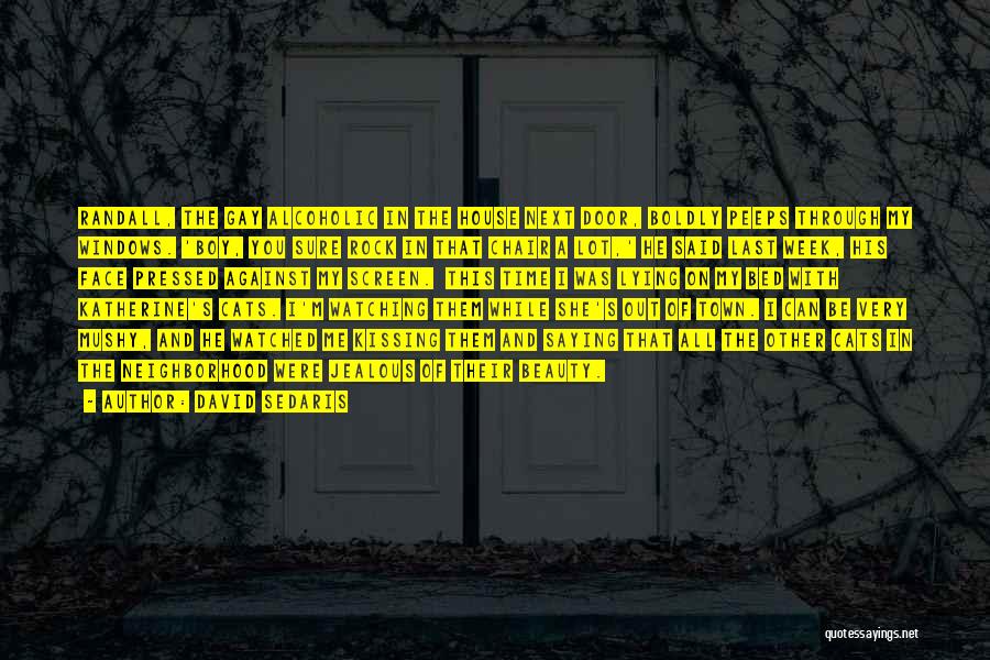 Screen Door Quotes By David Sedaris