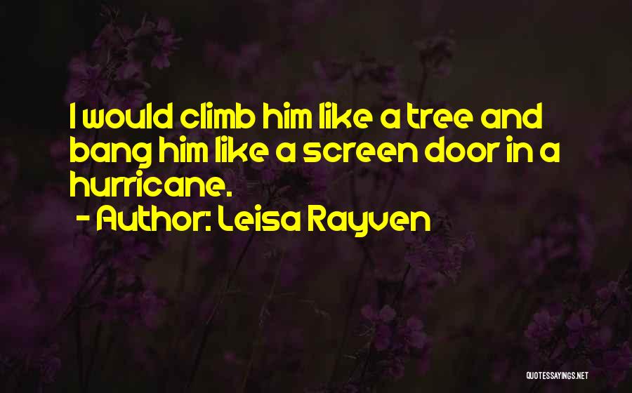 Screen Door Quotes By Leisa Rayven