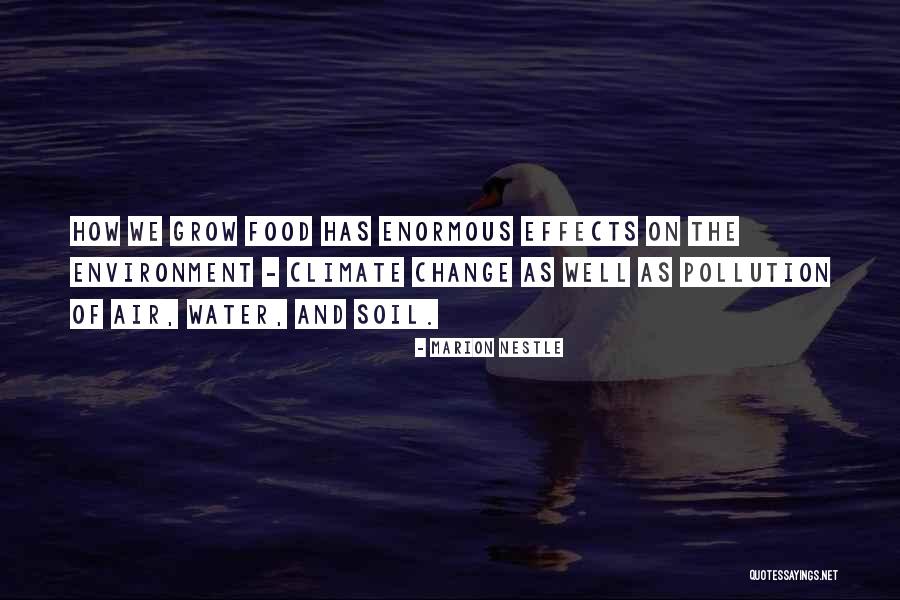 Screenrubbed Quotes By Marion Nestle Screenrubbed Quotes By Marion Nestle