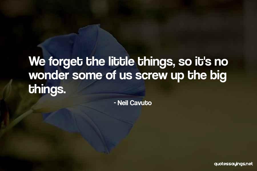 Screw Things Up Quotes By Neil Cavuto