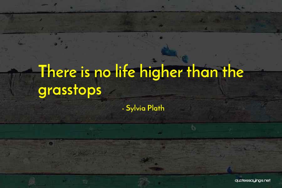 Screwworm Fly Quotes By Sylvia Plath Screwworm Fly Quotes By Sylvia Plath