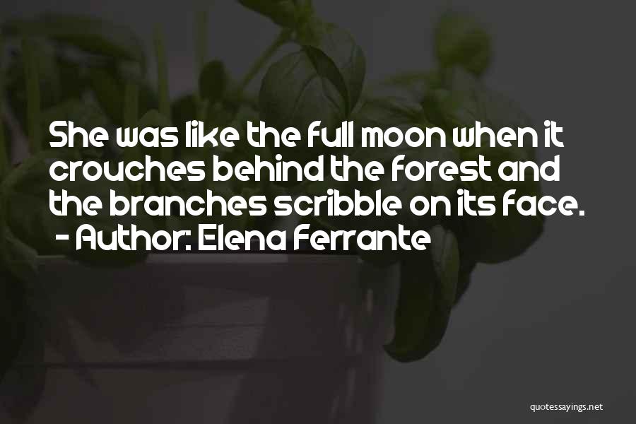 Scribble Quotes By Elena Ferrante