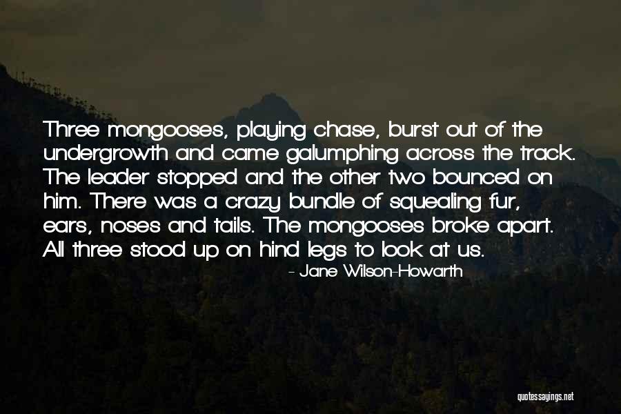 Scribbles And Giggles Quotes By Jane Wilson-Howarth Scribbles And Giggles Quotes By Jane Wilson-Howarth