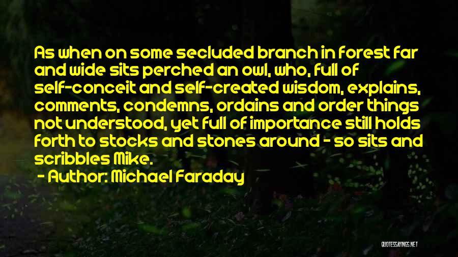 Scribbles Quotes By Michael Faraday