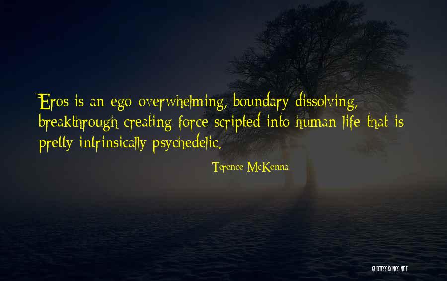 Scripted Quotes By Terence McKenna Scripted Quotes By Terence McKenna
