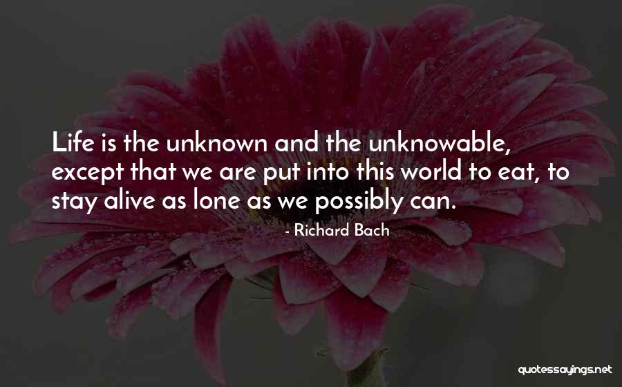 Scripto Pharmacy Quotes By Richard Bach Scripto Pharmacy Quotes By Richard Bach