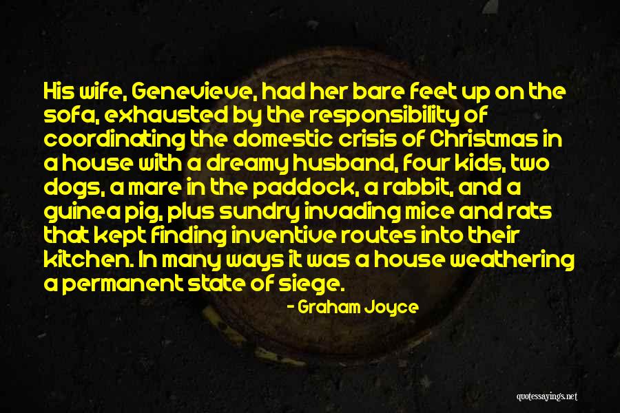 Scripto Quotes By Graham Joyce