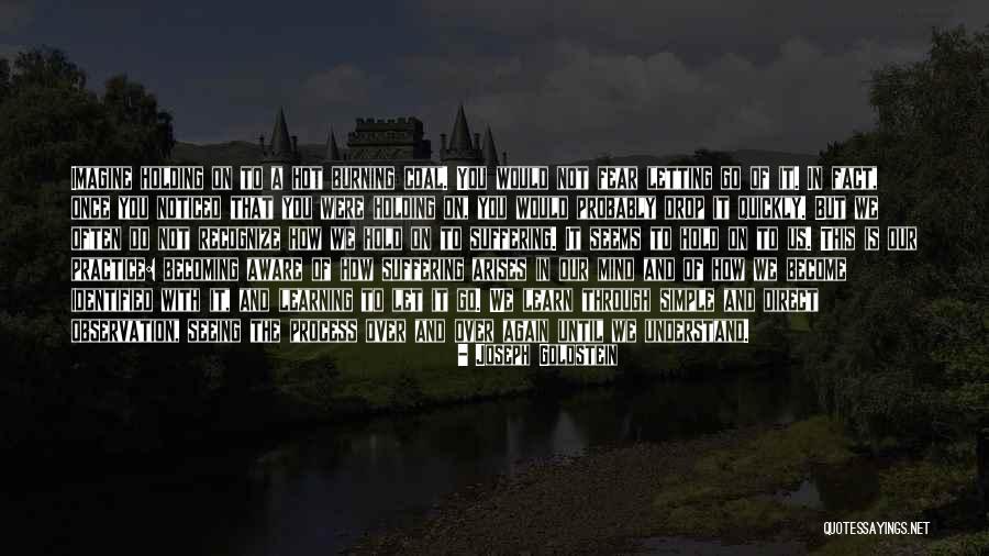 Scriptum Librarie Quotes By Joseph Goldstein Scriptum Librarie Quotes By Joseph Goldstein