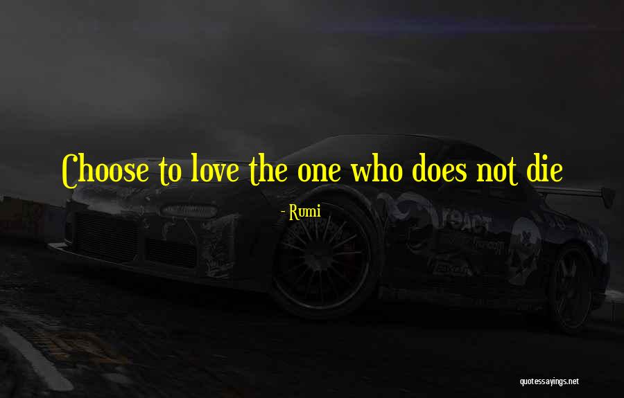 Scriptwriters Software Quotes By Rumi Scriptwriters Software Quotes By Rumi