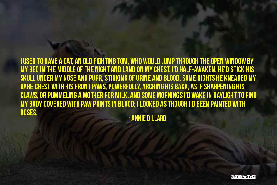 Scrotal Cyst Quotes By Annie Dillard Scrotal Cyst Quotes By Annie Dillard
