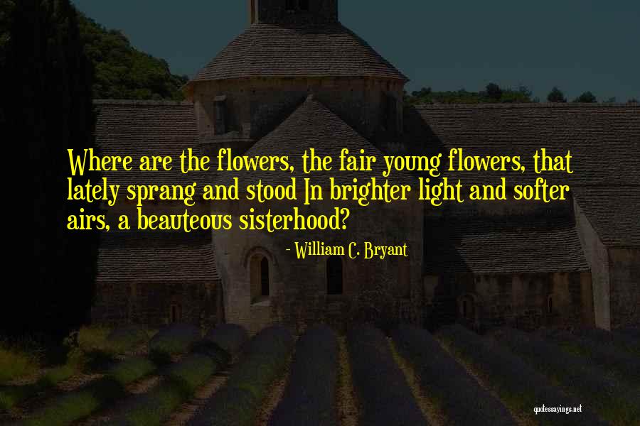 Scrubbed House Quotes By William C. Bryant Scrubbed House Quotes By William C. Bryant