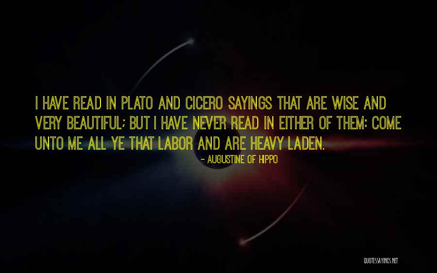 Scrubs Newbie Quotes By Augustine Of Hippo Scrubs Newbie Quotes By Augustine Of Hippo