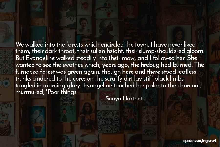 Scruffy Quotes By Sonya Hartnett Scruffy Quotes By Sonya Hartnett