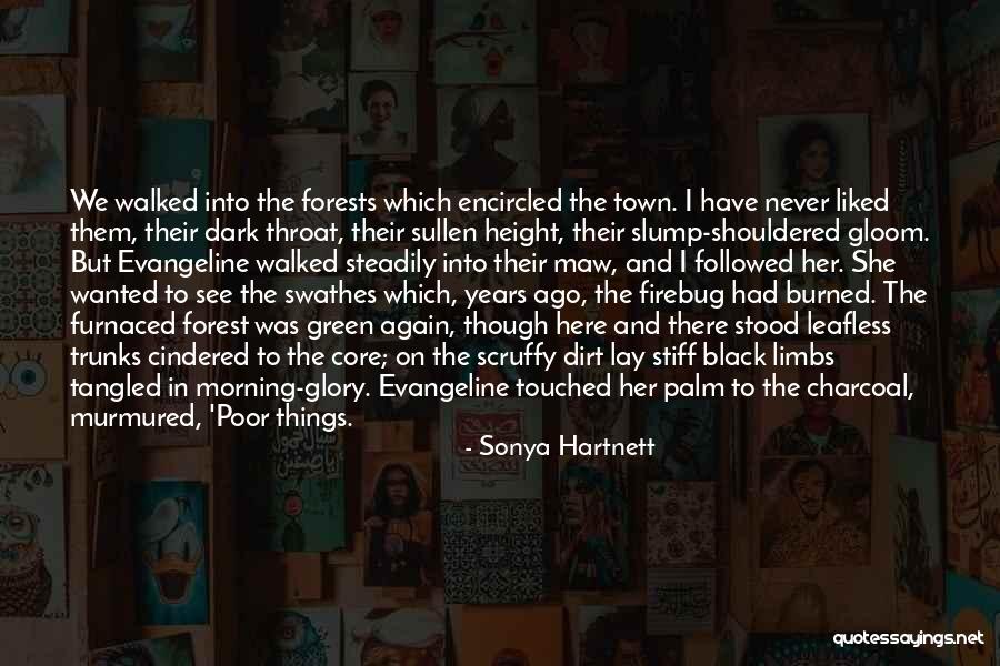 Scruffy Quotes By Sonya Hartnett