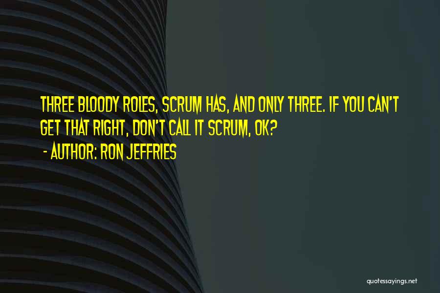 Scrum Quotes By Ron Jeffries