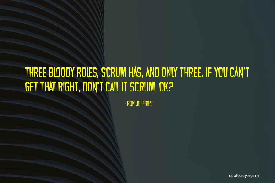 Scrum Quotes By Ron Jeffries