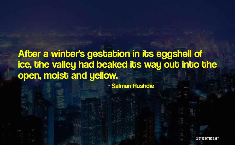 Scrutinize Antonym Quotes By Salman Rushdie Scrutinize Antonym Quotes By Salman Rushdie