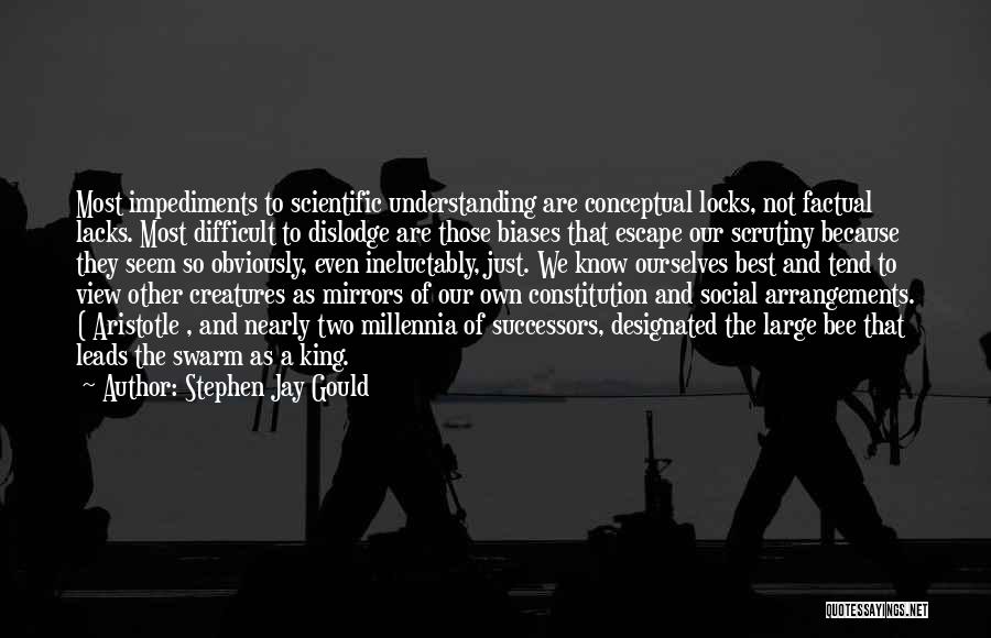 Scrutiny Quotes By Stephen Jay Gould