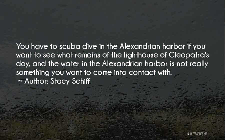 Scuba Dive Quotes By Stacy Schiff