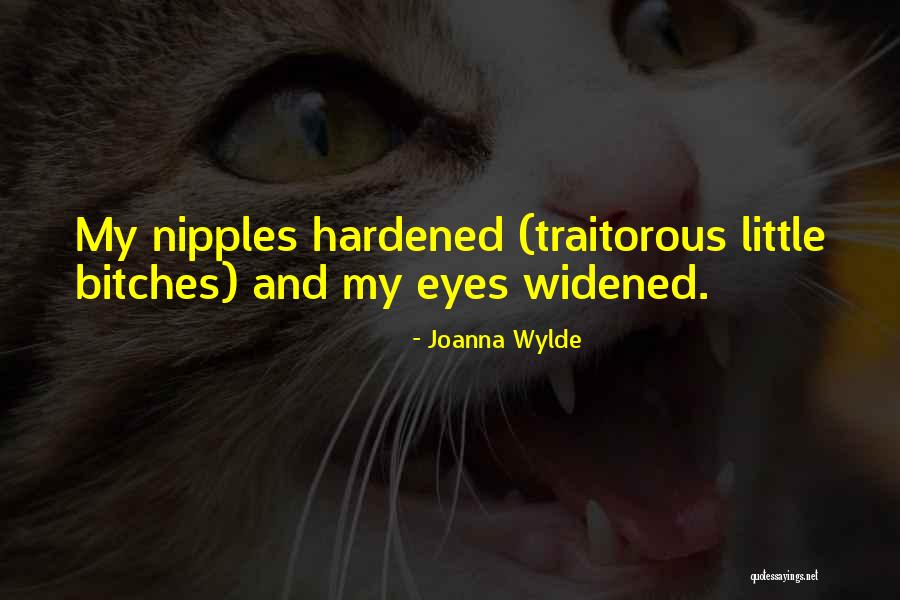 Scudero Baseball Quotes By Joanna Wylde Scudero Baseball Quotes By Joanna Wylde