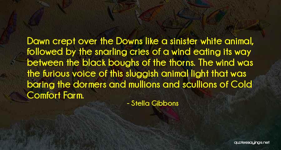 Scullions Quotes By Stella Gibbons Scullions Quotes By Stella Gibbons