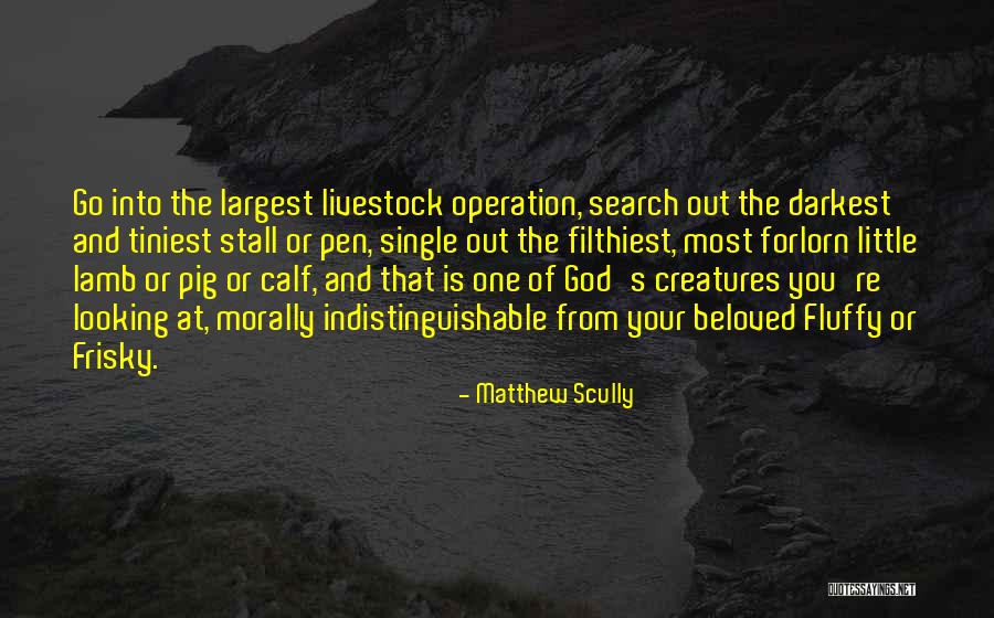 Scully And Scully Quotes By Matthew Scully Scully And Scully Quotes By Matthew Scully
