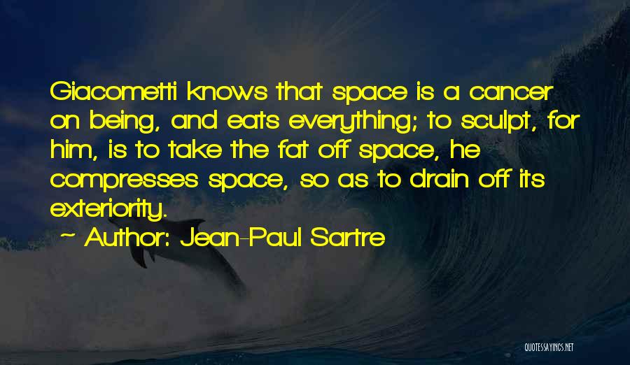 Sculpt Quotes By Jean-Paul Sartre