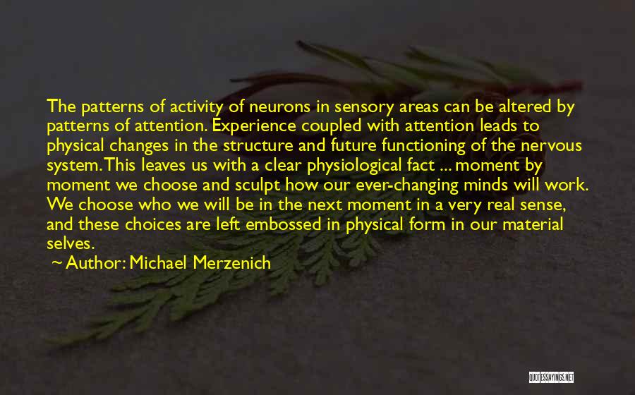 Sculpt Quotes By Michael Merzenich