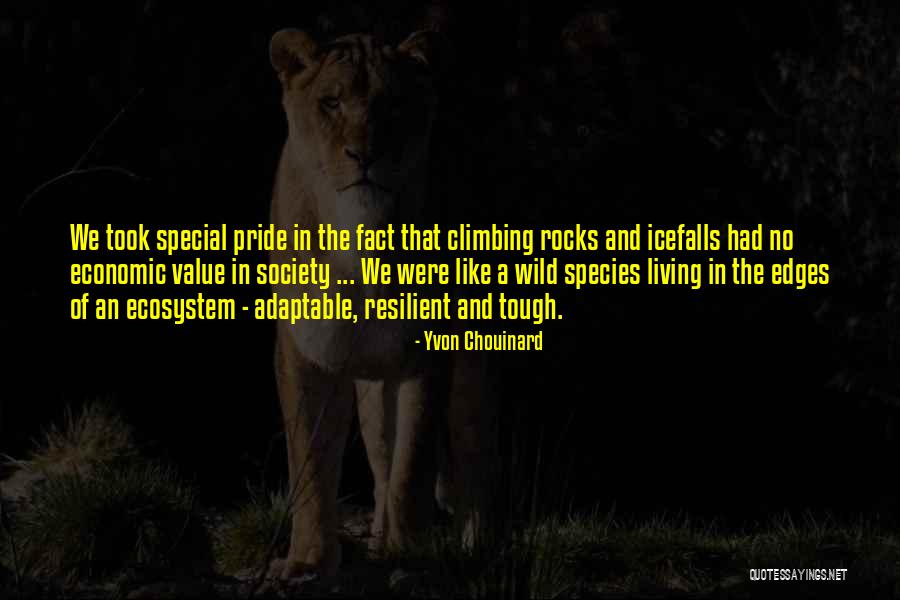 Sculptra Reviews Quotes By Yvon Chouinard Sculptra Reviews Quotes By Yvon Chouinard