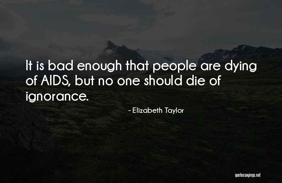 Sculpture And Fountains Quotes By Elizabeth Taylor Sculpture And Fountains Quotes By Elizabeth Taylor