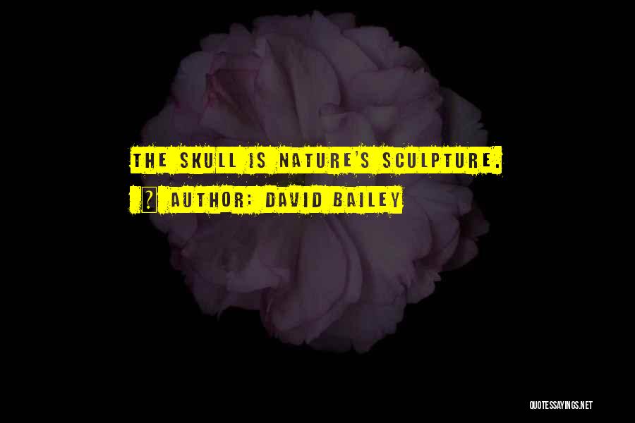 Sculpture Quotes By David Bailey