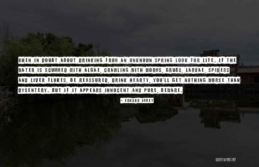 Scummed To Quotes By Edward Abbey Scummed To Quotes By Edward Abbey
