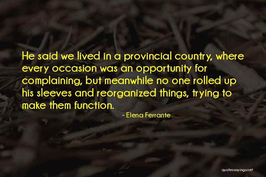 Scutit Fara Quotes By Elena Ferrante Scutit Fara Quotes By Elena Ferrante