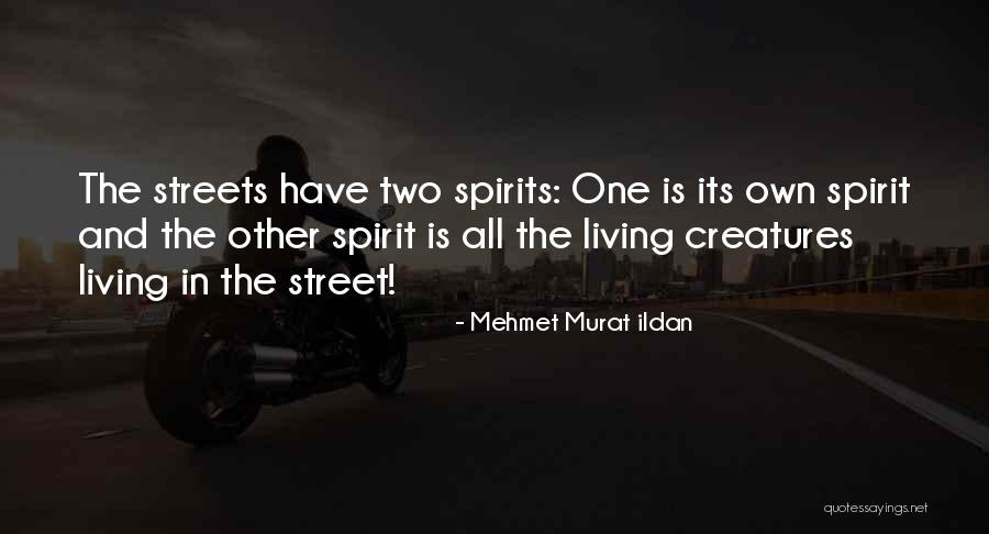 Scuttlebug Mario Quotes By Mehmet Murat Ildan Scuttlebug Mario Quotes By Mehmet Murat Ildan